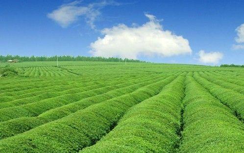 Cʡ_hBѭhlչģʽGɫlչģʽ