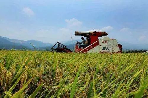 reM(jn)ݼSYԴ(xing)Ŀ