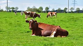 Bdмӿ쌍(sh)F(xin)ݼS۾C