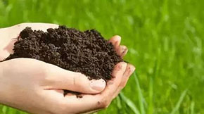 r(nng)I(y)r(nng)岿2021ЙC(j)ИI(y)Ҫ@