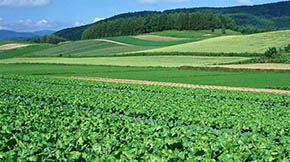 Y pԴȾ |ʡЙCʩ^2000f