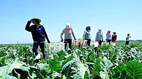 2021GɫNBѭhrIԇcgָҊ