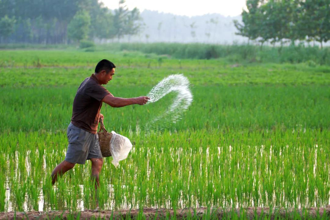 Aȫ(gu)N(xio)磺ȫԸﶬNr(nng)Y(yng)ͻʶ(ch)