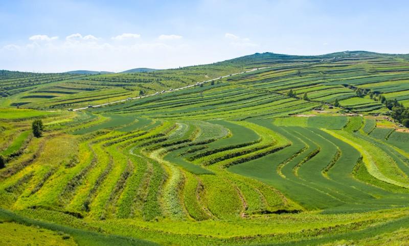 F~fɽݼS׃U錚BѭhrIld