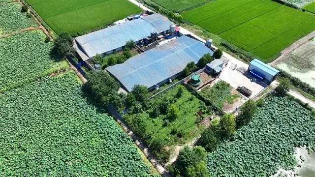 ꣺ݼS۟o̎r(nng)pȾ