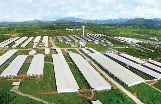 MB(yng)ֳSYԴãӿ옋(gu)NB(yng)Y(ji)r(nng)ѭh(hun)l(f)չ¸