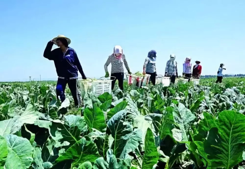 Mһ_ݼS߀Ҫ󏊻B(yng)ֳȾO(jin)֪ܵͨ