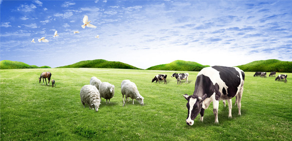 ЙC(j)ИI(y)g(sh)֮B(yng)ֳI(y)h(hun)ēp