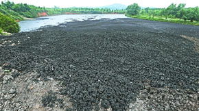 �ЙC��ԭ�Ϸ���֮����