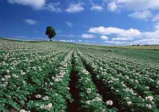 �i�S�ЙC(j��)�����a(ch��n)��ʲôҪ���죿