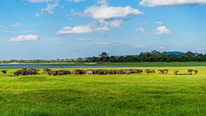 �i�S��ţ�S�l���ЙC�ʑ�ע��Ďׂ�С����