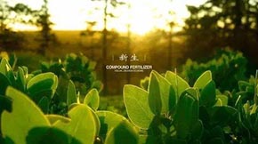 ���aһ���ЙC������Ҫ�ׇ��i�S��