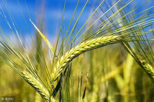 �ЙC���O��-݆ʽ���љC����Ҫ��