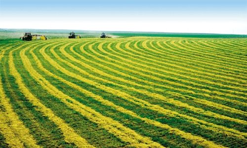 ���a�������Ҫ��Щ���a�O�䣿