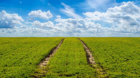 �������B(t��i)���� �l(f��)չ�Gɫ�r(n��ng)�I(y��)