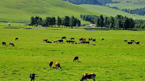 �r(n��ng)�I(y��)���P(gu��n)���M(j��n)һ���ӿ����ݼS���YԴ�����õ����߽���