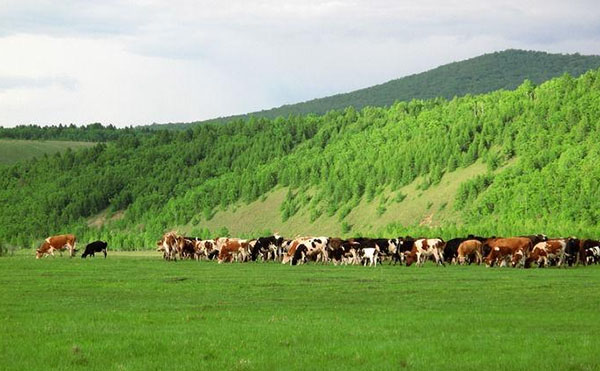 ţ�S�ЙC�ʳ����O������X��