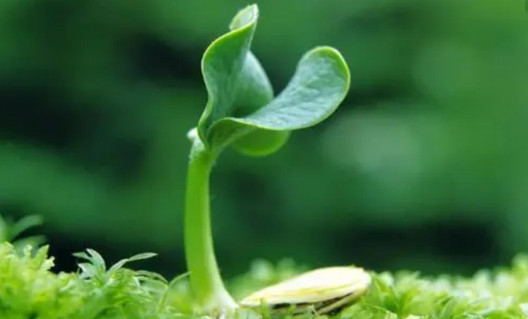 �����ЙC(j��)���O(sh��)��l(f��)չ�F(xi��n)��