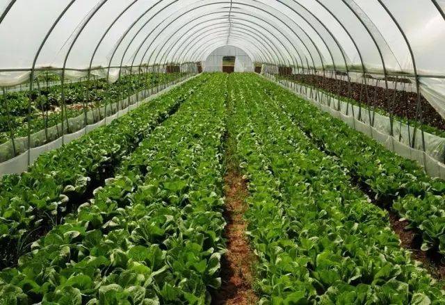 �S��ȫ��߀��ģʽ