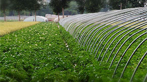 ��Ҋ���ϼ��g(sh��)���}��ȫ