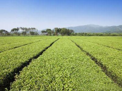 �kһ��С�͵��ЙC�ʼӹ��S��Ҫ��Щ���m��Ͷ�Y�����X��