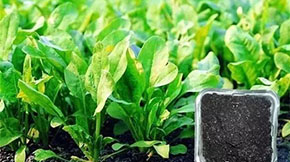 �_�k�ЙC�ʹ��S���@Щ�����ߡ�����������