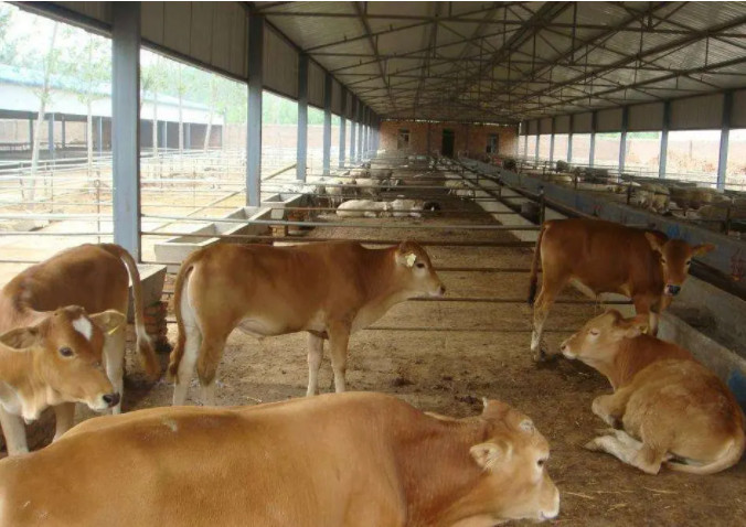 ţ�S�ЙC�����a���O��Ҫ���X��