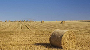 �՗U���a�����ЙC�ʼ��g