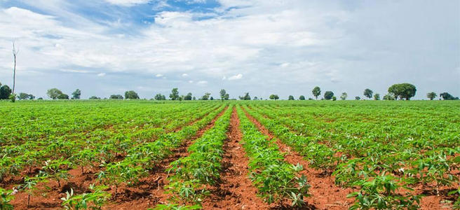 �����ЙC�ʵă��ݼ�ע�����