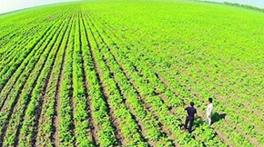 �ЙC�������a�^�̶�����Щ��Ҫע��Ć��}?