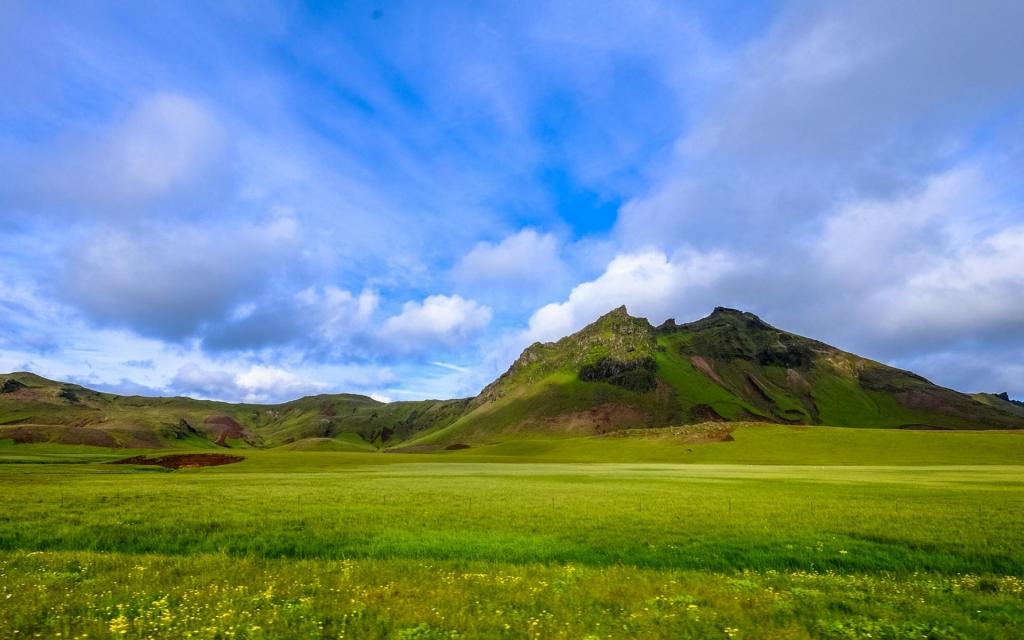 �ЙC�����a���O��l�ͷ����C�l��Ԕ��