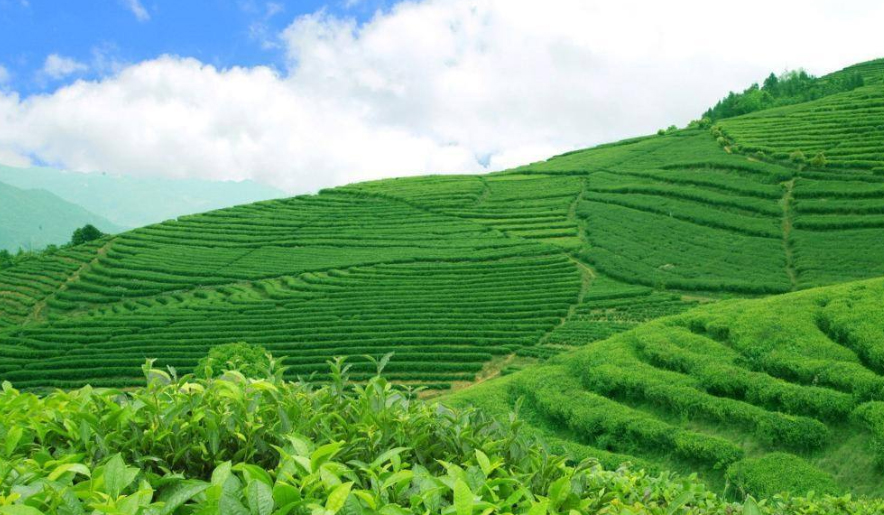 ���׌�����ЙC���_�����õ�Ч����