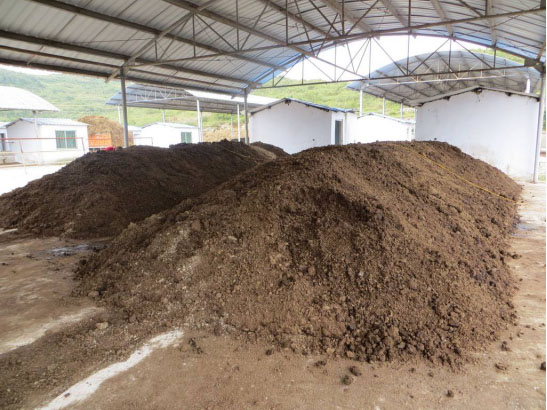 �l���u�S��β�����