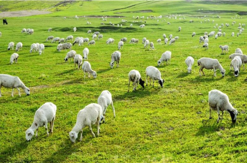 ʹSЙC(j)ҪʲôЙC(j)O(sh)