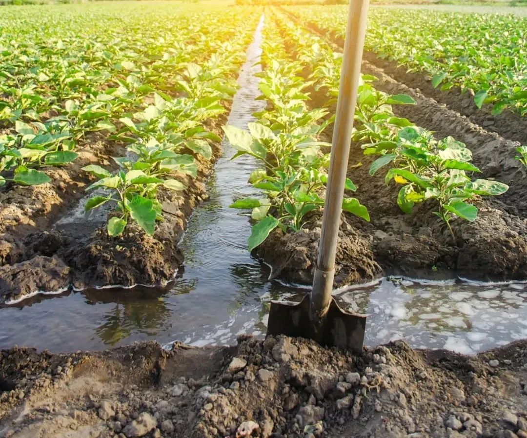 ЙC(j)ʵ傀(g)l(f)չڅ