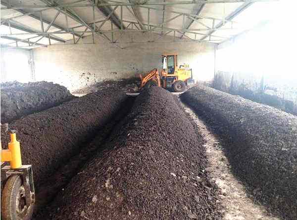 ЙC(j)ʶѷʹˇܷ֞5