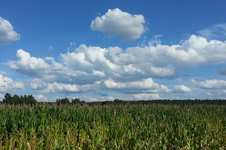 ЙCʏSaƷЙCʺrƼSʵą^e